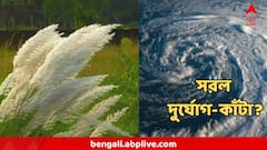 সোনা রোদে শুরু সপ্তমী, দশমী পর্যন্ত দুর্যোগ-মুক্তি? কী জানাল আবহাওয়া দফতর?
