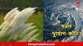 Kolkata Weather Update : সোনা রোদে শুরু সপ্তমী, দশমী পর্যন্ত দুর্যোগ-মুক্তি? কী জানাল আবহাওয়া দফতর?
