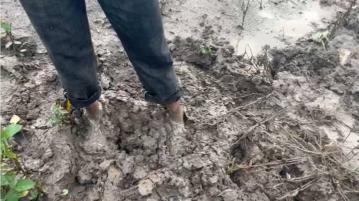 आता दसरा दिवाळी कशी करायची लेकी बाळींना सणासाठी कसे आणावे असे एक ना अनेक प्रश्न प्रदीप यांना आणि त्यांच्या सारख्याच इतर शेतकऱ्यांना पडले आहेत.