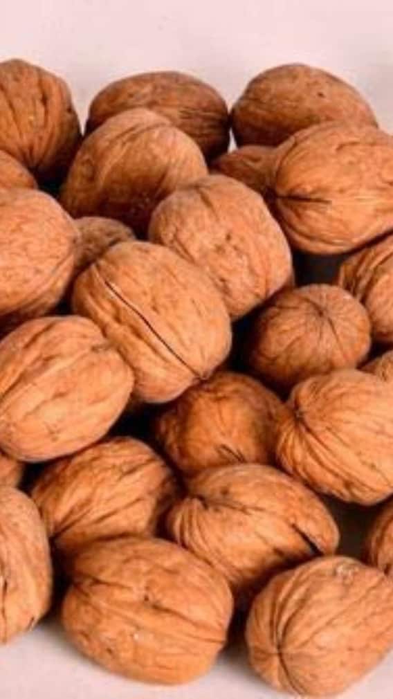 இந்தியாவில் எந்த மாநிலத்தில் வால்நட் அதிகம் விளைகிறது?