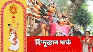 Durga Puja 2025: ⧝ā§Ģ āϤāĻŽ āĻŦāϰā§āώ⧠āĻšāĻŋāύā§āĻĻā§āϏā§āϤāĻžāύ āĻĒāĻžāϰā§āĻ, āĻāĻŦāĻžāϰā§āϰ āĻĨāĻŋāĻŽ āĻšāĻā§āĻā§ āϞā§āĻāĻ