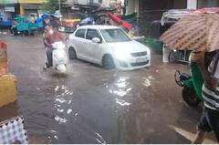 Gujarat Rain Update:રાજ્યમાં સાર્વત્રિક વરસાદ, છેલ્લા 24 કલાકમાં 232 તાલુકામાં વરસ્યો