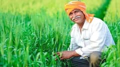 પ્રધાનમંત્રી પાક વીમા યોજનાનો લાભ ક્યાં ખેડૂતોને મળે, જાણો  શું છે તેના નિયમો