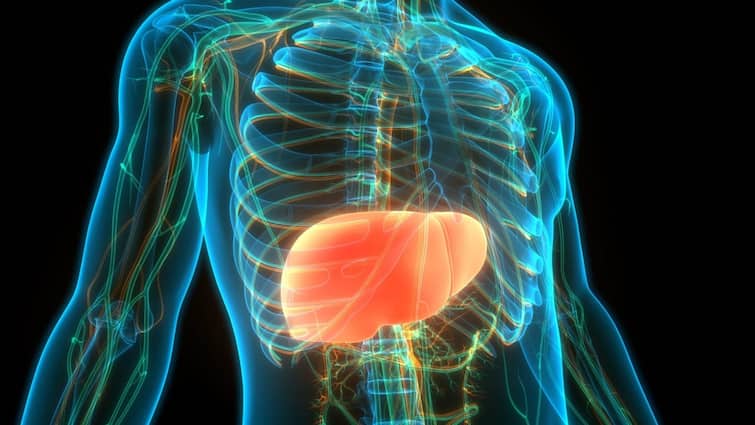 Kidney Health Tips: सितंबर में भी झुलसा रही भयंकर उमस और गर्मी, अपना ख्याल कैसे रखें किडनी के मरीज?