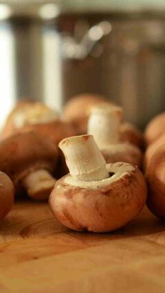 ਮਸ਼ਰੂਮ ਖਾਣ ਦੇ ਹੁੰਦੇ ਹੈਰਾਨ ਕਰਨ ਵਾਲੇ ਫਾਇਦੇ