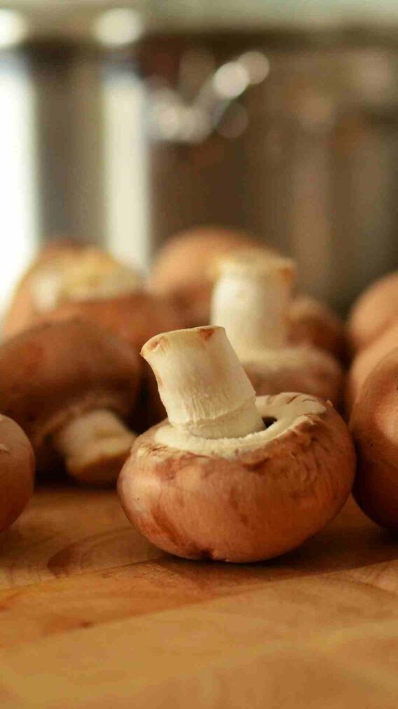 ਮਸ਼ਰੂਮ ਖਾਣ ਦੇ ਹੁੰਦੇ ਹੈਰਾਨ ਕਰਨ ਵਾਲੇ ਫਾਇਦੇ