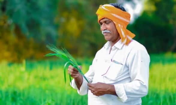 ભારત સરકાર દ્વારા પ્રધાનમંત્રી ફસલ વીમા યોજના ચલાવવામાં આવી રહી છે. જેના હેઠળ જો પાકને નુકસાન થાય છે. તો ખેડૂતોને સરકાર દ્વારા વીમા સ્વરૂપે વળતર આપવામાં આવે છે. પરંતુ આ માટે કેટલાક નિયમો નક્કી કરવામાં આવ્યા છે.