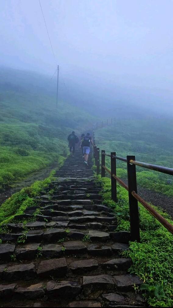 உலகின் மிக உயரமான சிகரம் எது?