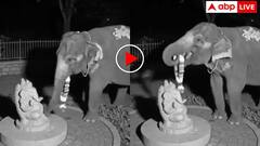 जब गणेश जी को माला चढ़ाने पहुंचा हाथी! वीडियो देख नतमस्तक हो गए भक्त, बोले- साक्षात भगवान पधारे