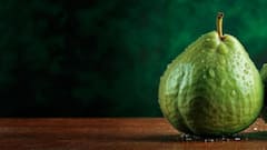 घर में कैसे लगा सकते हैं अमरूद का पौधा? यहां जान लें बेहद आसान तरीका