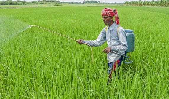 પ્રધાનમંત્રી ફસલ બીમા યોજનાનો લાભ ફક્ત તે ખેડૂતોને જ મળે છે. જેઓ નોટિફાઈડ પાક ઉગાડે છે. જેમાં ચોખા, ઘઉં, કઠોળ, તેલીબિયાં અને બાગાયતી પાકોનો સમાવેશ થાય છે. આ વીમા યોજનાનો લાભ જમીન માલિકો, ખેતરમાં ખેતી કરનારાને  મળે છે.