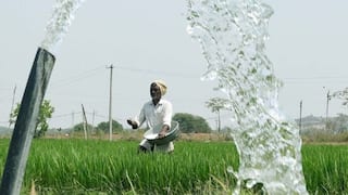 AP E Crop 2025: రైతులకు అలర్ట్, పంట నమోదు చేయకపోతే సబ్సిడీలు, డబ్బులు రావు! రేపే చివరి రోజు..