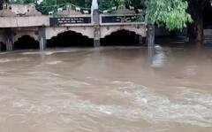 Rain Update:સૌરાષ્ટ્રમાં મેઘરાજાની તોફાની બેટીંગ, વરસાદે વેર્યો વિનાશ, ગીર સોમનાથમાં આજે રેડ એલર્ટ