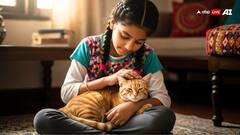 जनाब लखनऊ वाले जान लें जरूरी खबर, अब बिल्ली पालने का है लाइसेंस जरूरी, वरना लगेगा जुर्माना