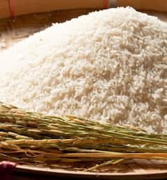 ਇਹ ਵਾਲੇ ਚੌਲਾਂ 'ਤੇ 8 ਰੁਪਏ ਪ੍ਰਤੀ ਟਨ ਡਿਊਟੀ ਲਗਾਉਣ ਤਿਆਰੀ 'ਚ ਕੇਂਦਰ ਸਰਕਾਰ, ਜਾਣੋ ਵਜ੍ਹਾ