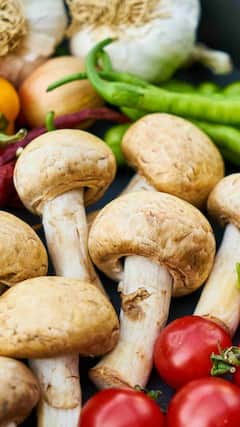 घर के कमरे में कैसे कर सकते हैं मशरूम की खेती?