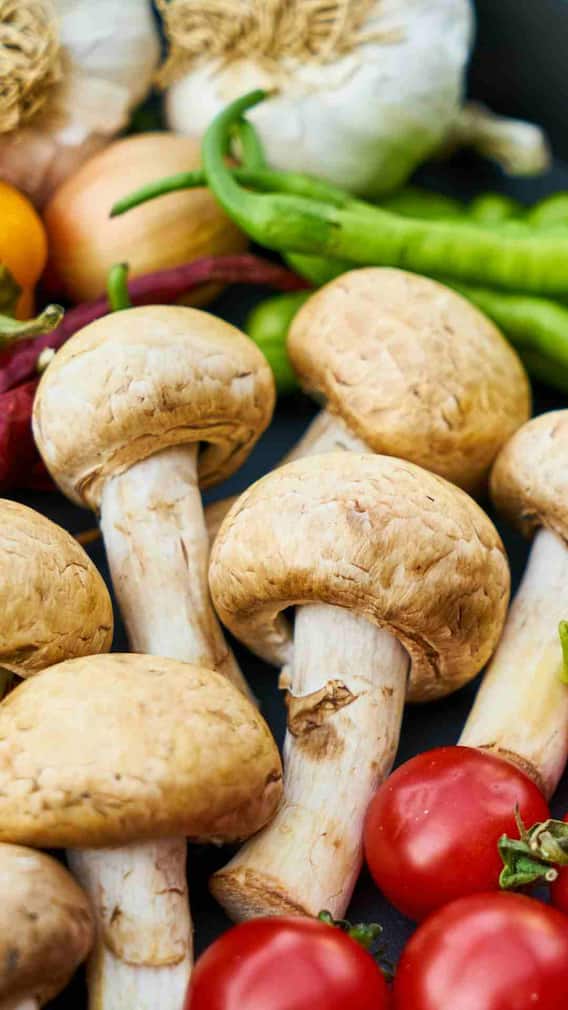 வீட்டிலேயே காளான்களை எவ்வாறு வளர்க்கலாம்.? தெரிஞ்சுக்கோங்க