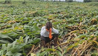 Maharashtra Flood Aide: राज्य सरकारचा मोठा निर्णय, अतिवृष्टीग्रस्त जिल्ह्यांना डीपीडीसीच्या निधीतून पैसे देणार