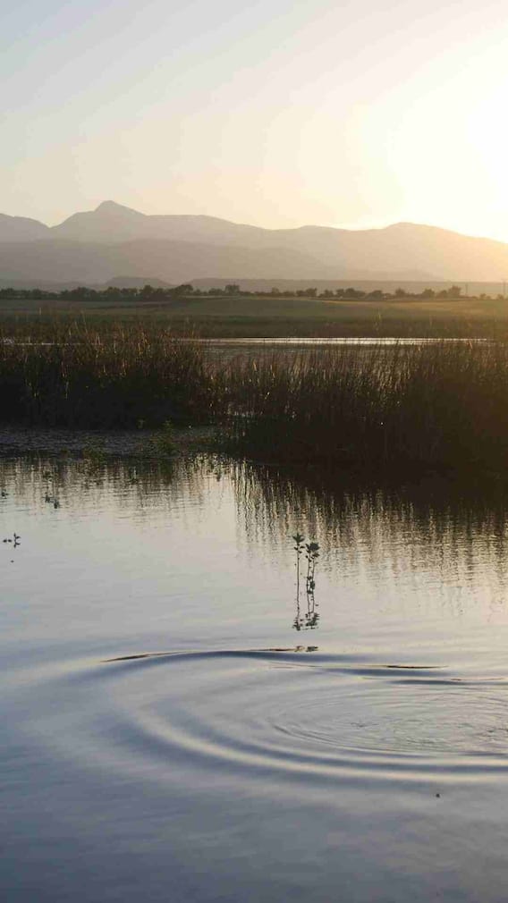 कहां हैं सबसे बड़ी मीठे पानी की झील