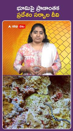 భూమిపై ప్రాణాంతక  ప్రదేశం సర్పాల దీవి