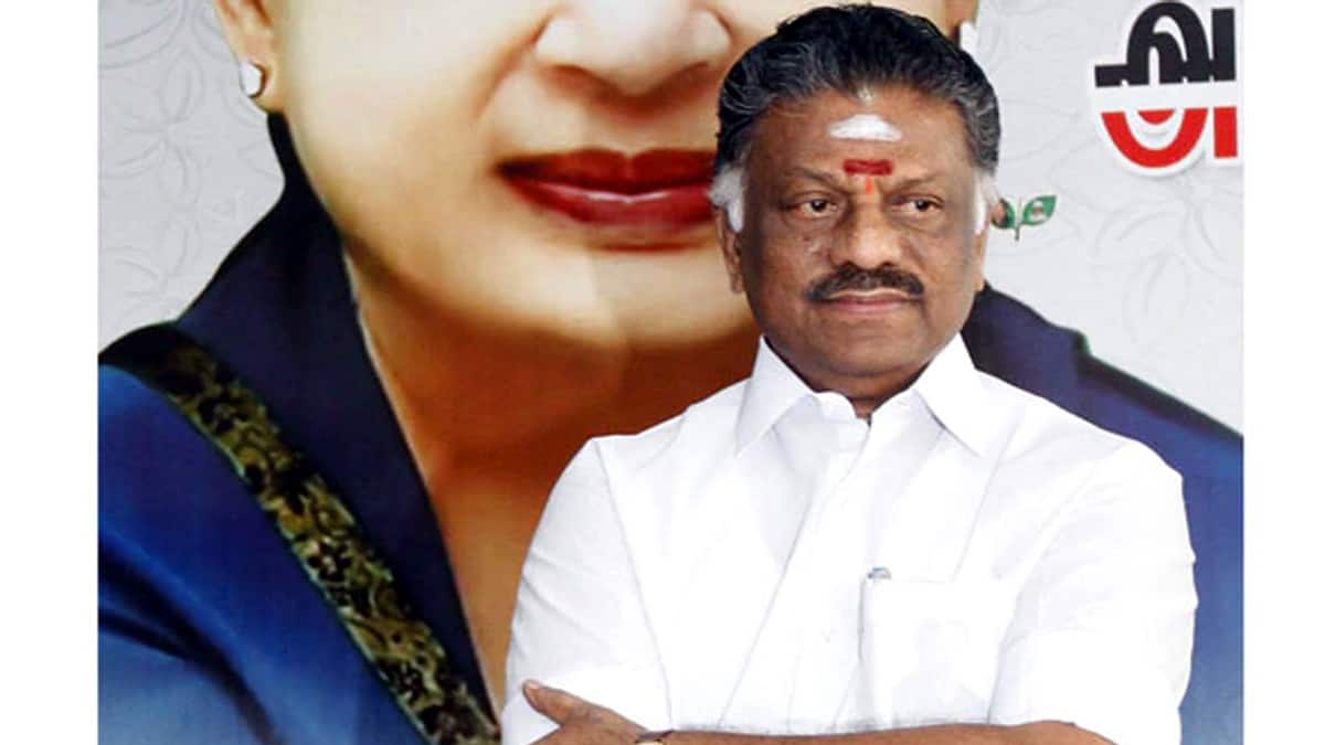 கரூர் சம்பவம்: சிபிஐ விசாரணை அறிக்கை வந்த பின் கருத்து - ஓ.பன்னீர்செல்வம்