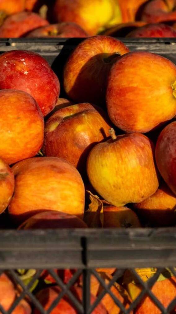 ஒரு மாதத்திற்கு ஆப்பிள் சாப்பிடுவதால் என்ன நடக்கும்?