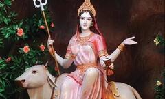 Navratri 2025: નવરાત્રિના આઠમાં નોરતે મા મહાગૌરીની પૂજાનું વિધાન, જાણો રંગ,મંત્ર, વિધિ