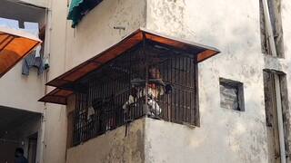 Crime News: ગુજરાતમાં મહિલા સુરક્ષા પર સવાલ! ગાંધીનગરમાં કોન્સ્ટેબલની નિર્વસ્ત્ર લાશ મળી, હત્યાની આશંકા