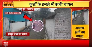 Stray Dogs Attack: Child Attacked By Stray Dogs In Pune; CCTV Captures Harrowing Assault, Parents Rescued