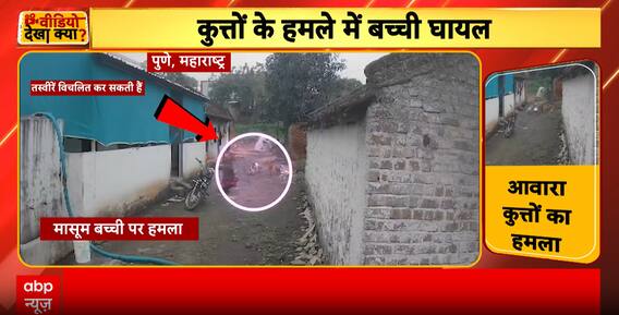 Stray Dogs Attack: Child Attacked By Stray Dogs In Pune; CCTV Captures Harrowing Assault, Parents Rescued