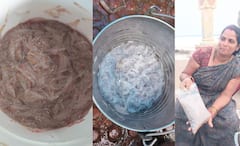 చీరతో పట్టేసే చేప పిల్లలకు భలే డిమాండ్! చీరమేను రుచి కోసం ఎగబడతారు..