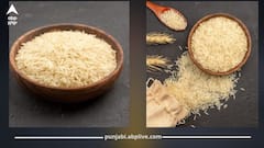 ਇਹ ਵਾਲੇ ਚੌਲਾਂ 'ਤੇ 8 ਰੁਪਏ ਪ੍ਰਤੀ ਟਨ ਡਿਊਟੀ ਲਗਾਉਣ ਤਿਆਰੀ 'ਚ ਕੇਂਦਰ ਸਰਕਾਰ, ਜਾਣੋ ਵਜ੍ਹਾ