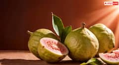 ਘਰ 'ਚ ਕਿਵੇਂ ਲਾ ਸਕਦੇ ਅਮਰੂਦ ਦਾ ਦਰੱਖਤ? ਜਾਣ ਲਓ ਸੌਖਾ ਤਰੀਕਾ