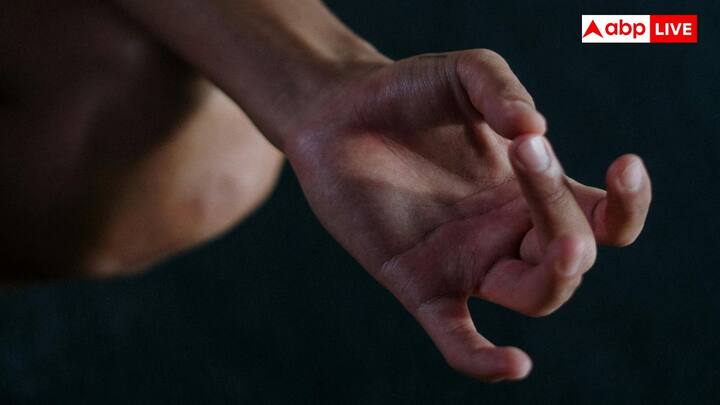 भोजन और पानी के अलावा यह व्रत सभी सांसारिक लगाव जैसे धन, संबंध और महत्वाकांक्षाओं को छोड़ने की मांग करता है. इसका उद्देश्य मन को पूर्ण शांति पहुंचना है.