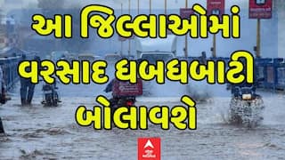 Gujarat Rain : બે વરસાદી સિસ્ટમ સક્રિય, ગુજરાતના આ જિલ્લાઓમાં વરસાદ ધબધબાટી બોલાવશે