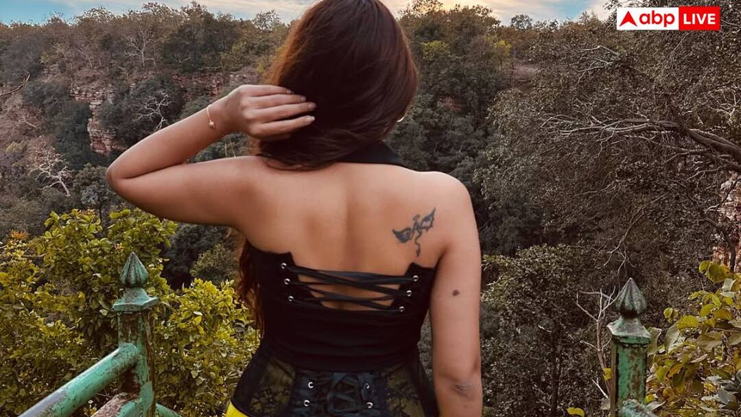 Salman Khan Show Bigg Boss 19 Akanksha Jindal Opened Up About Her Ex Husband Abhishek Bajaj Having Multiple Affairs 'मेरे पति के कई महिलाओं संग थे संबंध, शादी के कुछ दिनों बाद पकड़ा रंगे हाथ', इस हसीना का छलका दर्द