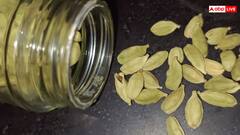 घर में कैसे लगा सकते हैं इलायची का पौधा? जानें किचन गार्डन में लगाने का आसान तरीका