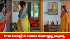 ‘మేఘసందేశం’ సీరియల్‌:  కెమెరా కోసం గగన్ ఇంటికి వెళ్లిన అపూర్వ – కెమెరా లాక్కుని వెళ్లిన భూమి