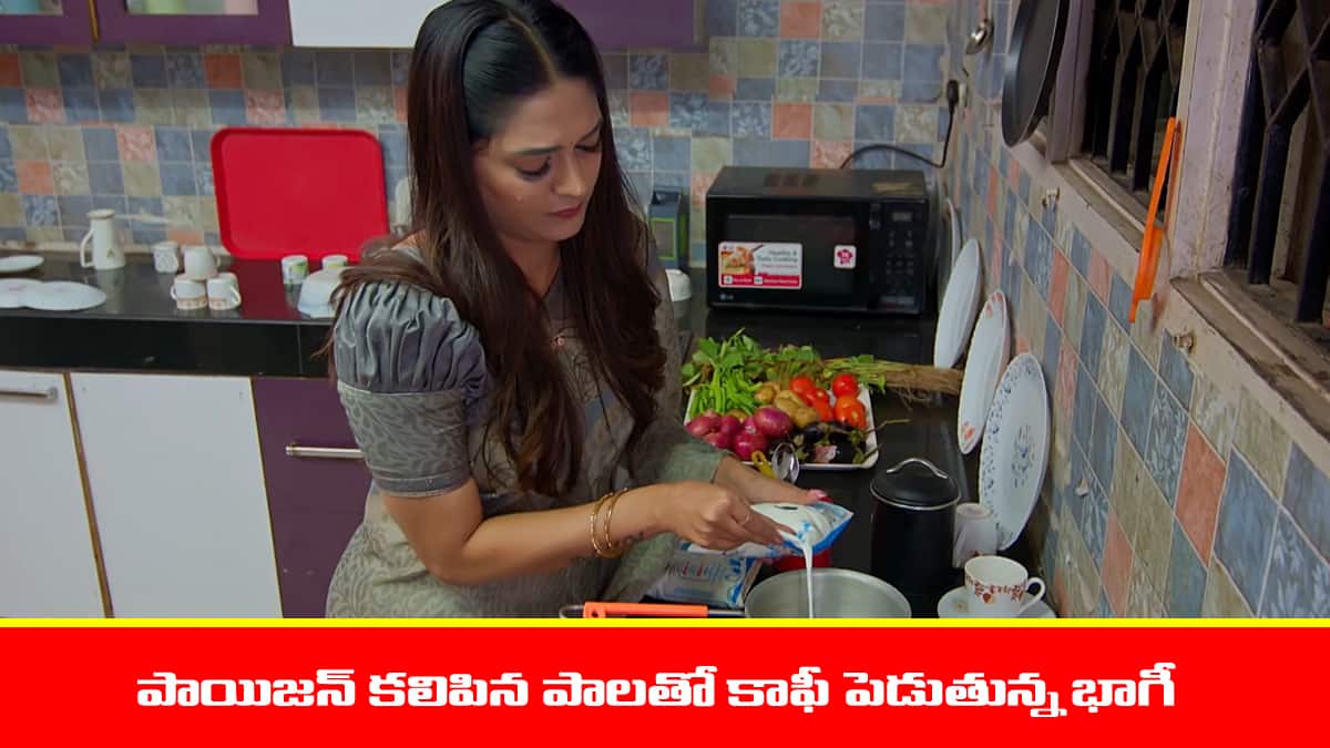 Nindu Noorella Saavasam Serial Today September 30th: ‘నిండు నూరేళ్ల సావాసం’ సీరియల్‌: మను ప్లాన్‌ సక్సెస్‌ - విషం పాలతో కాఫీ పెట్టిన భాగీ  