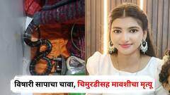 डोंबिवलीत हृदयद्रावक घटना, साखरझोपेत विषारी सापाचा चावा, चिमुरडीचा अंगात विष भिनल्याने मृत्यू, पाठोपाठ मावशीनेही प्राण सोडले