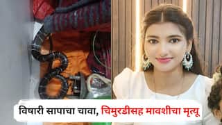 Dombivli News : डोंबिवलीत हृदयद्रावक घटना, साखरझोपेत विषारी सापाचा चावा, चिमुरडीचा अंगात विष भिनल्याने मृत्यू, पाठोपाठ मावशीनेही प्राण सोडले