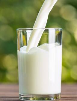 WHO ਨੇ ਭਾਰਤ ਲਈ ਜਾਰੀ ਕੀਤੀ ਵਾਰਨਿੰਗ, ਦੁੱਧ ਦੀ ਰਿਪੋਰਟ 'ਚ ਖੁੱਲ੍ਹੇ ਵੱਡੇ ਰਾਜ਼