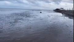 అంత‌ర్వేదిలో వెన‌క్కు వెళ్లిన స‌ముద్రం.. సునామీకి సంకేత‌మా? భ‌యాందోళ‌న‌లో తీర ప్ర‌జ‌లు