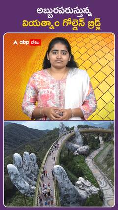 అబ్బురపరుస్తున్న  వియత్నాం గోల్డెన్ బ్రిడ్జ్‌