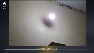 ਲਾਈਟ ਜਗਾਉਂਦੇ ਹੀ ਜ਼ੀਰਾ ਮੱਛਰ ਕਰ ਦਿੰਦੇ ਅਟੈਕ? ਬੱਲਬ ਤੇ ਟਿਊਬ ਲਾਈਟ ‘ਤੇ ਕੀੜੇ-ਭੂੰਡੀਆਂ ਆਉਣ ਤੋਂ ਇੰਝ ਬਚਾਓ