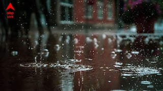 Weather Update : নবমীর রাত থেকে হাওয়া বদলের সম্ভাবনা, বৃষ্টির আশঙ্কার সঙ্গে অস্বস্তিকর গরমে হাঁসফাঁস অবস্থা