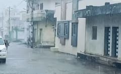 Gujarat Rain: અમરેલી અને ગીર સોમનાથમાં જામ્યો વરસાદી માહોલ