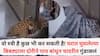 Leopard Walks Into House Viral Video: वो स्त्री है कुछ भी कर सकती है! घरात घुसलेल्या बिबट्याला महिलेने दोरीने पाय बांधून चादरीत गुंडाळलं, VIDEO व्हायरल