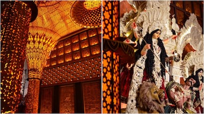 Mudiali Club Pandal In Kolkata Embraces ‘Atmashuddhi’ Through Natural Art: WATCH