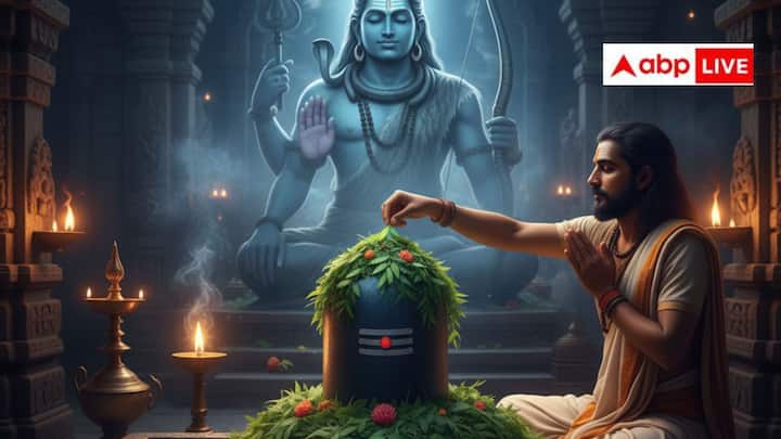 नवरात्रि के दौरान शमी के पत्तों की पूजा और लेन-देन से रोग-दोषों से मुक्ति मिल सकती है, क्योंकि शमी का पत्ता भगवान शिव और शनि देव को प्रिय है. मान्यता के अनुसार शिवलिंग पर शमी के पत्ते चढ़ाने से शिवजी प्रसन्न होते हैं और मनोकामना पूरी करते हैं. इसके अलावा, शनि दोष शांत करने और बीमारियों से मुक्ति पाने के लिए भी शमी के पत्तों का उपयोग किया जाता है.